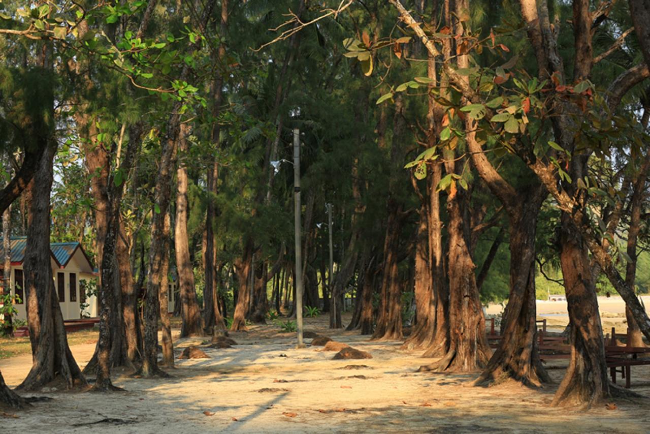 Coconut Island Resort Ngapali Ngoại thất bức ảnh