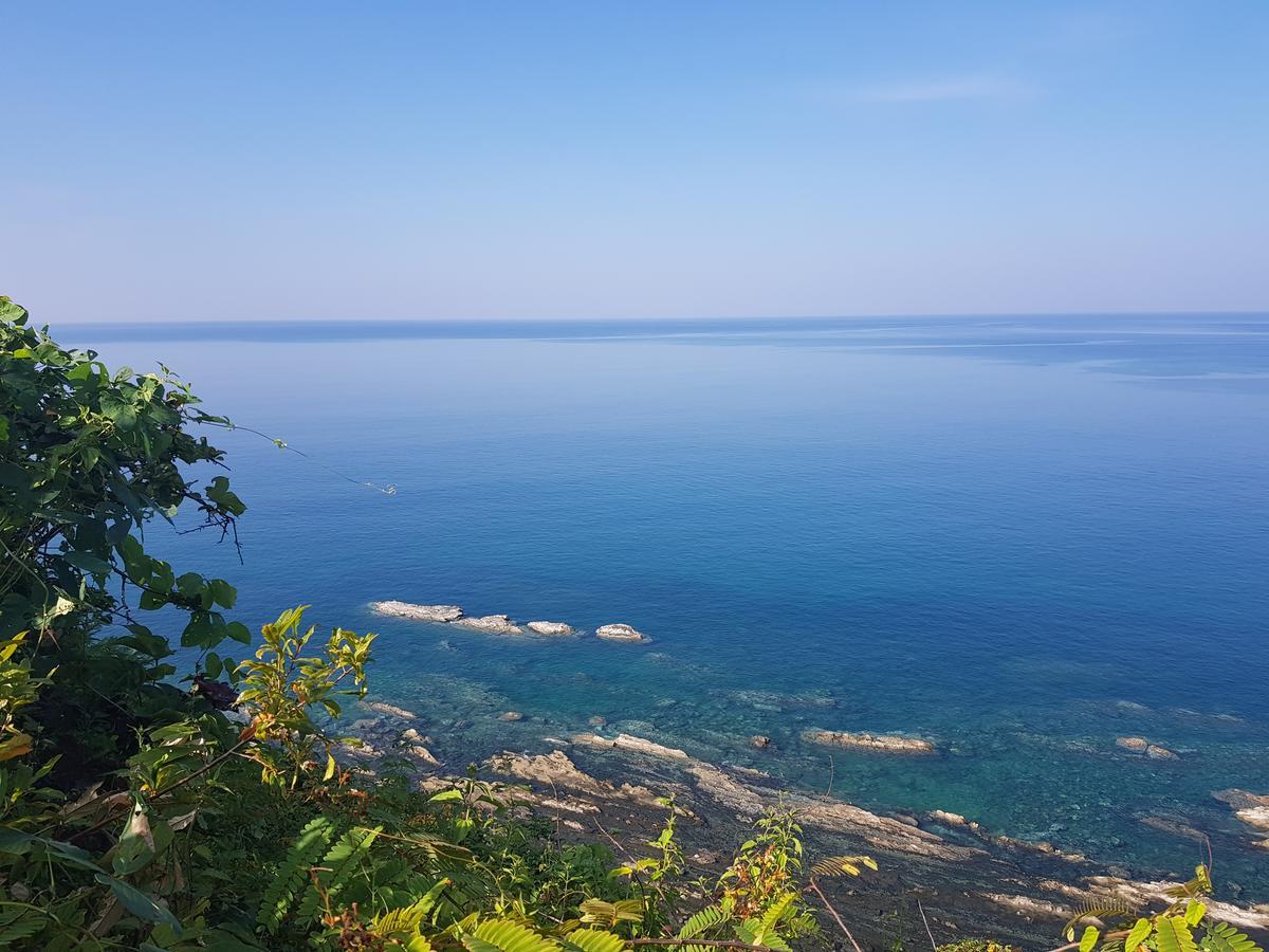 Coconut Island Resort Ngapali Ngoại thất bức ảnh